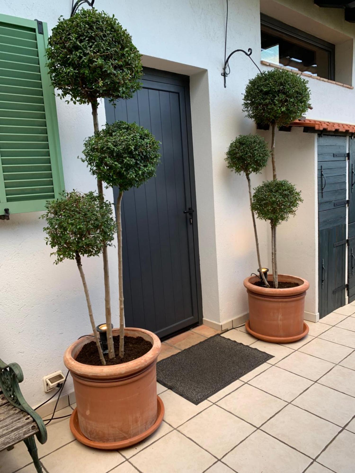 גראס Skylark Bed & Breakfast מראה חיצוני תמונה