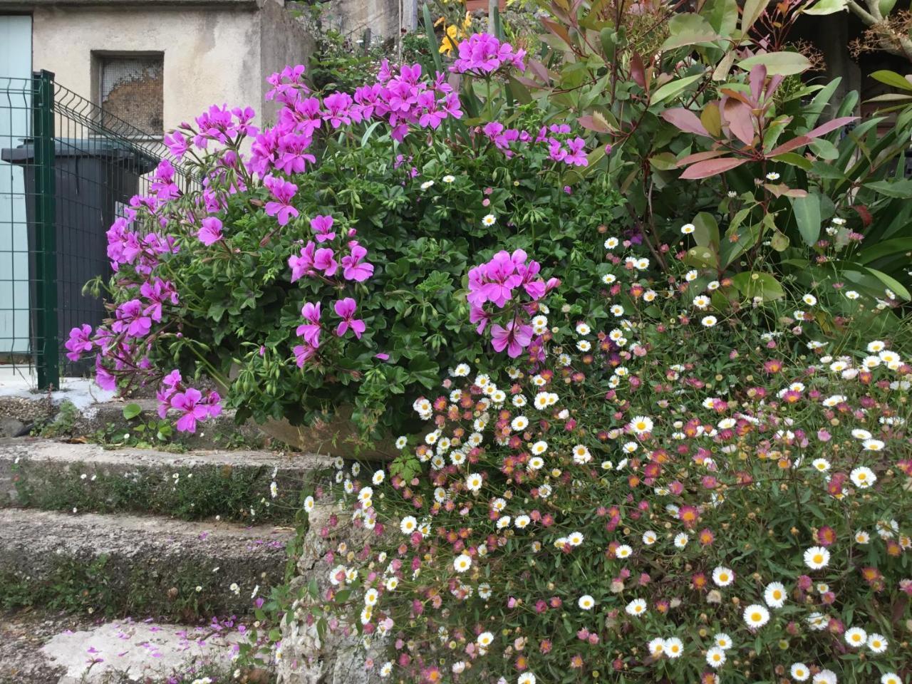 גראס Skylark Bed & Breakfast מראה חיצוני תמונה
